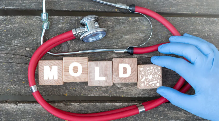 Mold remediation containment in a Payson, AZ home