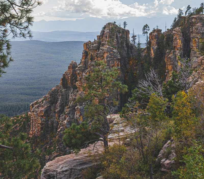 Rocky cliffs and pine trees overlooking a vast forested valley in Payson, AZ, illustrating the natural beauty of the area where Ekwall Restoration provides home restoration services.