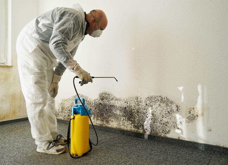 Mold remediation specialist in protective gear treating wall with visible mold growth using a spray applicator, emphasizing professional mold removal services in Payson.