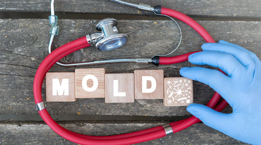 Mold spelled with wooden blocks beside a stethoscope, symbolizing health concerns related to mold remediation services in Payson, AZ.