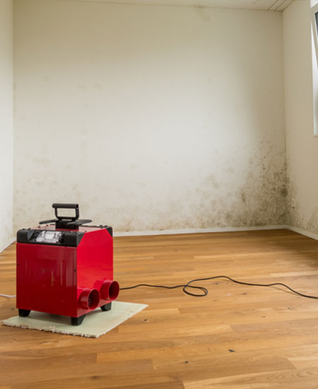 Red industrial dehumidifier in water-damaged room with mold on walls and hardwood flooring, illustrating water damage restoration process.